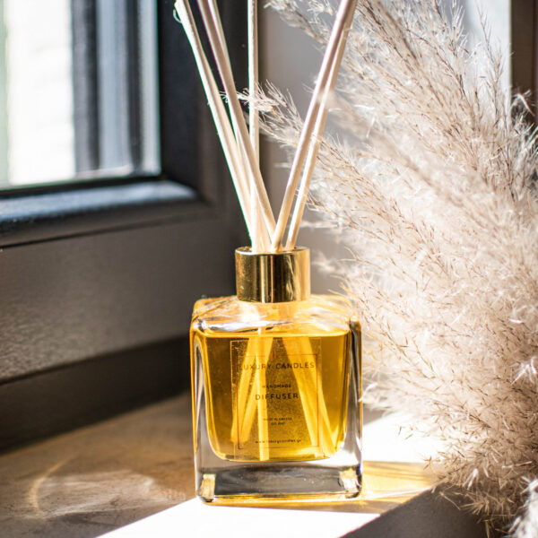 Orange & Cinnamon Diffuser